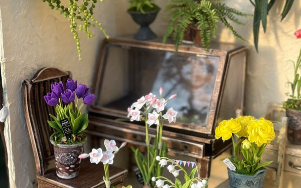Plants & Florals