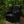 1:6 Dollhouse Miniature Calfskin Cigar Chair - Black main lifestyle image