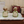 1:6 Dollhouse Miniature Bear Chef Spice Jar Set - 04-miniature-bear-chef-spice-jar-set-green-lifestyle